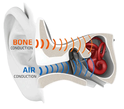 Shokz OpenComm2 UC Bone Conduction Bluetooth Headset - BTP